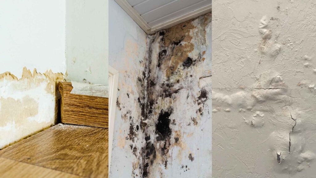 Types of Water Damage: