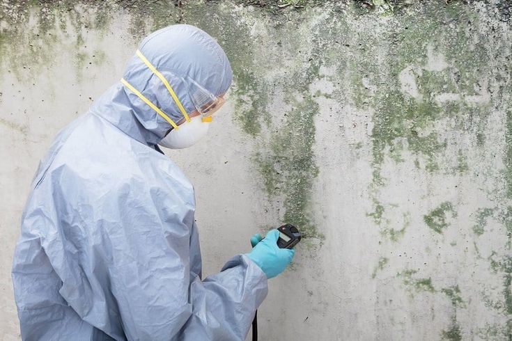 Mold Remediation Service Garland, TX
