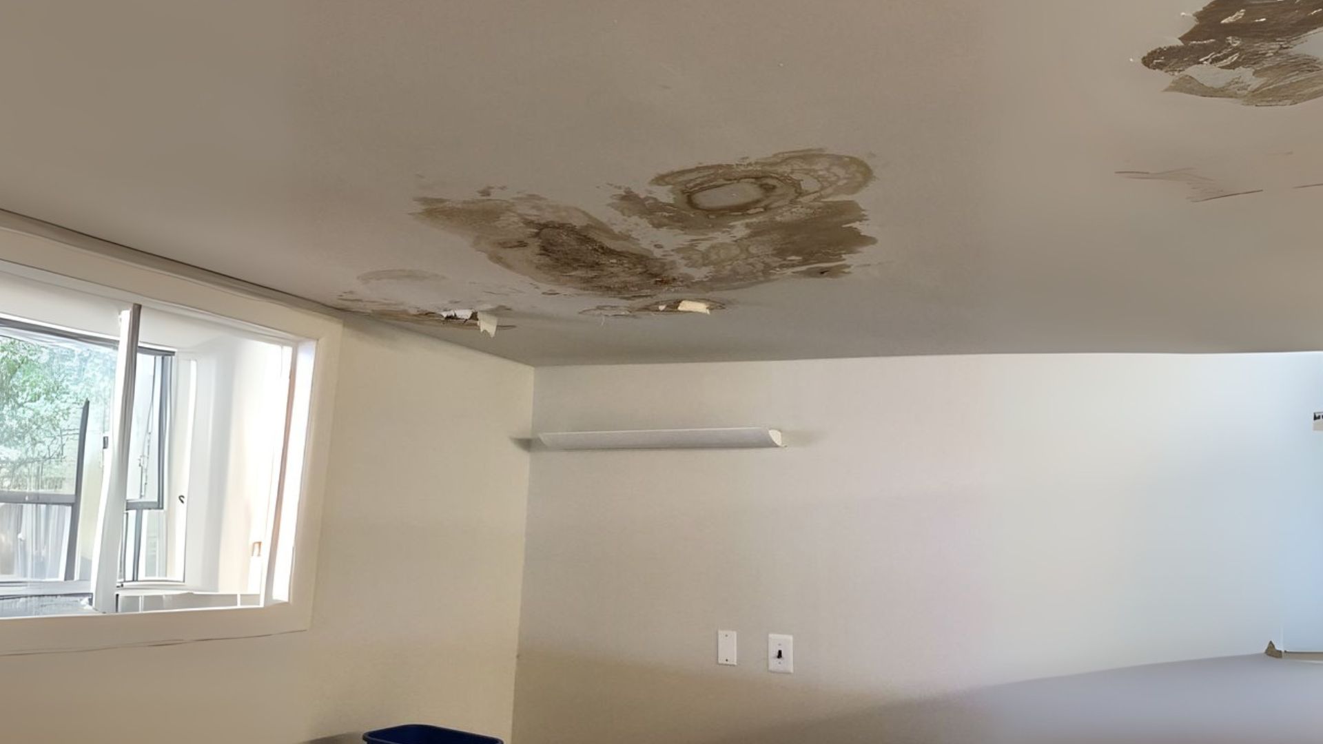Can Mold Grow After Water Damage in Garland Texas?
